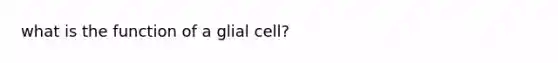 what is the function of a glial cell?