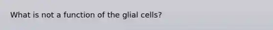 What is not a function of the glial cells?