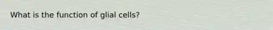 What is the function of glial cells?