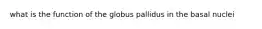 what is the function of the globus pallidus in the basal nuclei