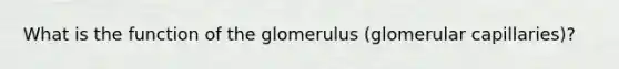 What is the function of the glomerulus (glomerular capillaries)?