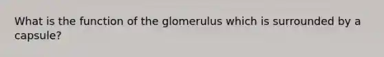 What is the function of the glomerulus which is surrounded by a capsule?