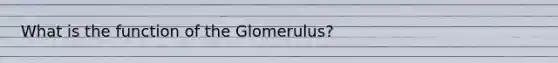 What is the function of the Glomerulus?