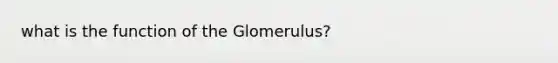 what is the function of the Glomerulus?