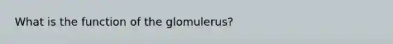 What is the function of the glomulerus?