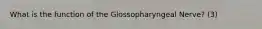 What is the function of the Glossopharyngeal Nerve? (3)