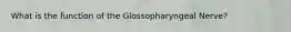 What is the function of the Glossopharyngeal Nerve?
