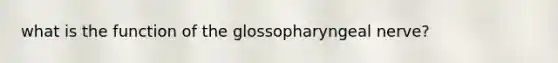 what is the function of the glossopharyngeal nerve?