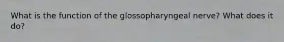 What is the function of the glossopharyngeal nerve? What does it do?