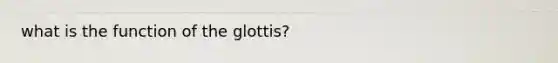 what is the function of the glottis?