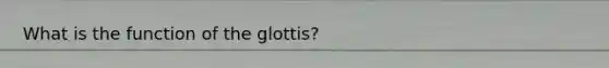 What is the function of the glottis?