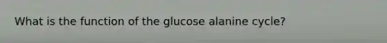 What is the function of the glucose alanine cycle?