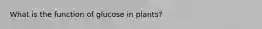 What is the function of glucose in plants?