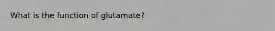 What is the function of glutamate?