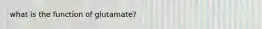 what is the function of glutamate?