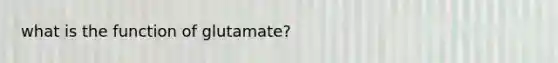 what is the function of glutamate?