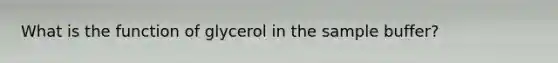 What is the function of glycerol in the sample buffer?