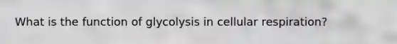 What is the function of glycolysis in cellular respiration?