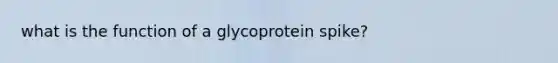 what is the function of a glycoprotein spike?