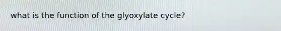 what is the function of the glyoxylate cycle?