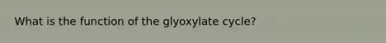 What is the function of the glyoxylate cycle?