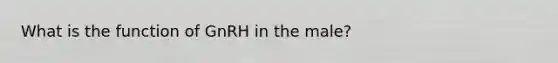 What is the function of GnRH in the male?