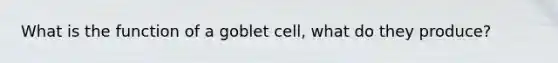 What is the function of a goblet cell, what do they produce?