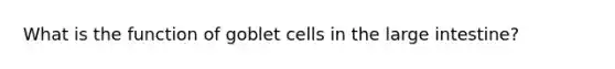 What is the function of goblet cells in the large intestine?