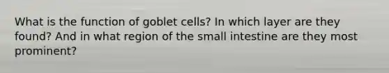 What is the function of goblet cells? In which layer are they found? And in what region of the small intestine are they most prominent?