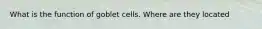 What is the function of goblet cells. Where are they located