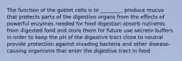 The function of the goblet cells is to ________. produce mucus that protects parts of the digestive organs from the effects of powerful enzymes needed for food digestion absorb nutrients from digested food and store them for future use secrete buffers in order to keep the pH of the digestive tract close to neutral provide protection against invading bacteria and other disease-causing organisms that enter the digestive tract in food