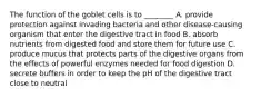 The function of the goblet cells is to ________ A. provide protection against invading bacteria and other disease-causing organism that enter the digestive tract in food B. absorb nutrients from digested food and store them for future use C. produce mucus that protects parts of the digestive organs from the effects of powerful enzymes needed for food digestion D. secrete buffers in order to keep the pH of the digestive tract close to neutral