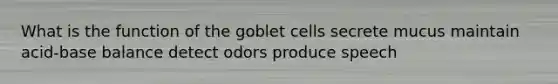 What is the function of the goblet cells secrete mucus maintain acid-base balance detect odors produce speech