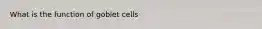 What is the function of goblet cells