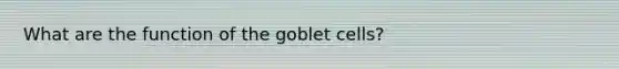 What are the function of the goblet cells?