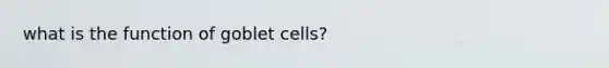 what is the function of goblet cells?