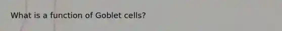 What is a function of Goblet cells?