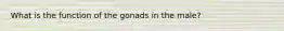 What is the function of the gonads in the male?