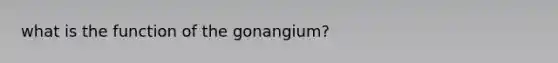 what is the function of the gonangium?