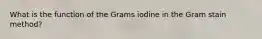 What is the function of the Grams iodine in the Gram stain method?