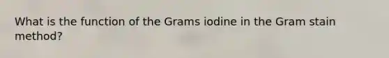 What is the function of the Grams iodine in the Gram stain method?