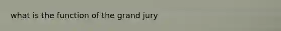 what is the function of the grand jury