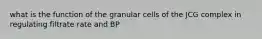 what is the function of the granular cells of the JCG complex in regulating filtrate rate and BP