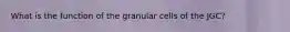 What is the function of the granular cells of the JGC?