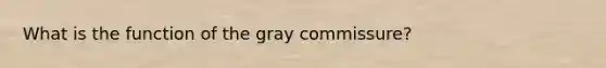 What is the function of the gray commissure?