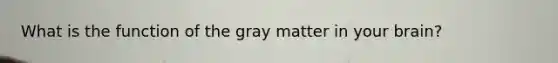 What is the function of the gray matter in your brain?