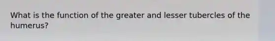 What is the function of the greater and lesser tubercles of the humerus?