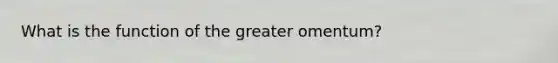 What is the function of the greater omentum?