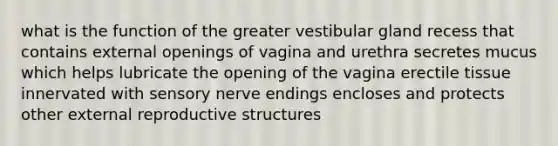 what is the function of the greater vestibular gland recess that contains external openings of vagina and urethra secretes mucus which helps lubricate the opening of the vagina erectile tissue innervated with sensory nerve endings encloses and protects other external reproductive structures