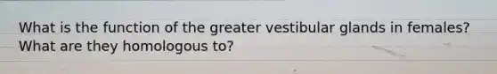 What is the function of the greater vestibular glands in females? What are they homologous to?